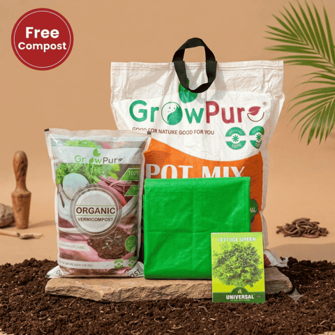 Lettuce Planting Kit with FREE VERMICOMPOST | 18 X 9 Grow Bag, Potting Mix 10 kg & FREE Vermicompost 5 KG