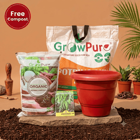 Chilli / Mirchi Jawala Planting Kit with FREE VERMICOMPOST | 12 Inch Terracotta Red Classy Plastic Pot, Potting Mix 10 kg & FREE Vermicompost 2 kg