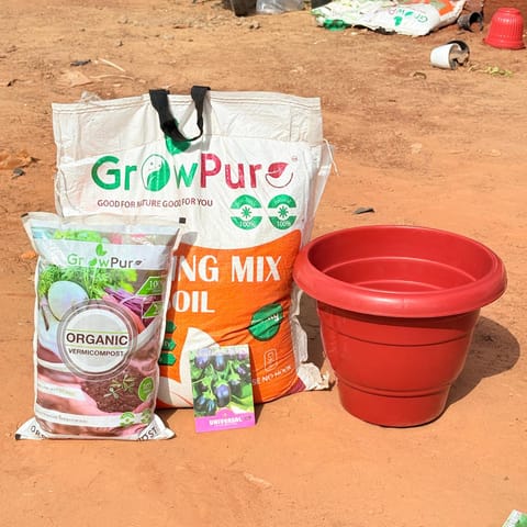 Brinjal Chu Chu Planting Kit with FREE VERMICOMPOST | 12 Inch Terracotta Red Classy Plastic Pot, Potting Mix 10 kg & FREE Vermicompost 2 kg