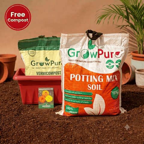 Marigold / Genda Planting Kit with FREE VERMICOMPOST | 20 Inch Terracotta Red Premium Supreme Window Plastic Planter, Potting Mix 10 kg & FREE Vermicompost 5 KG