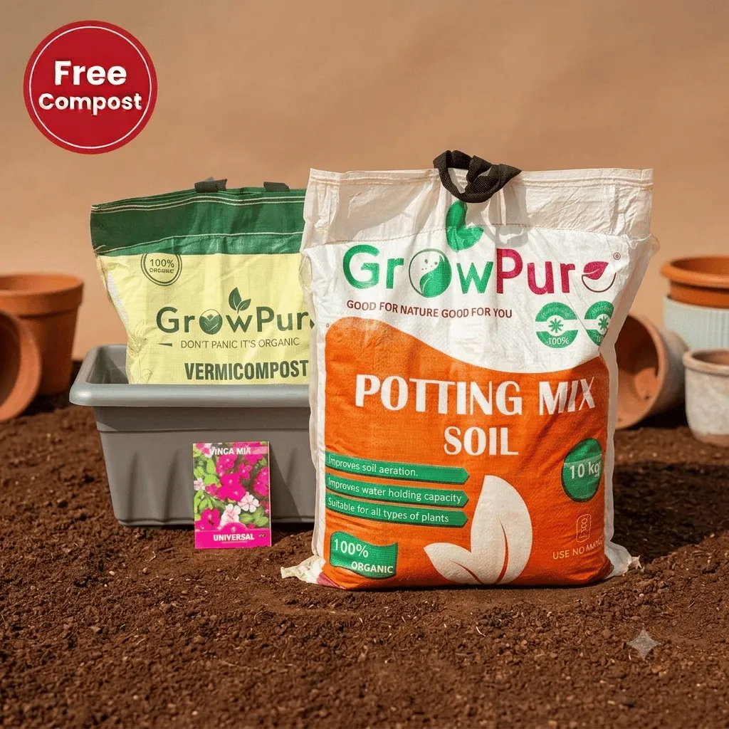 Vinca Planting Kit with FREE VERMICOMPOST | 20 Inch Grey Premium Supreme Window Plastic Planter, Potting Mix 10 kg & FREE Vermicompost 5 KG