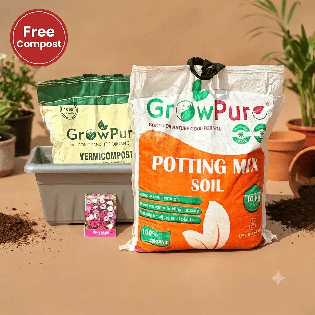 Petunia Planting Kit with FREE VERMICOMPOST | 20 Inch Grey Premium Supreme Window Plastic Planter, Potting Mix 10 kg & FREE Vermicompost 5 KG