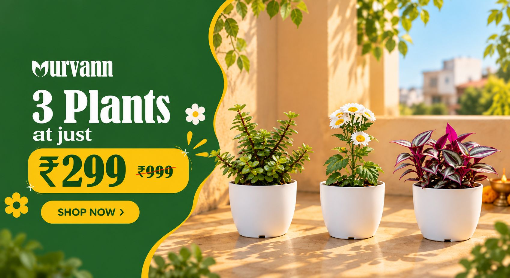 3 Plants For 299