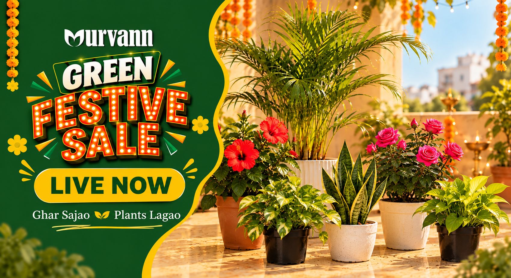 All Plants