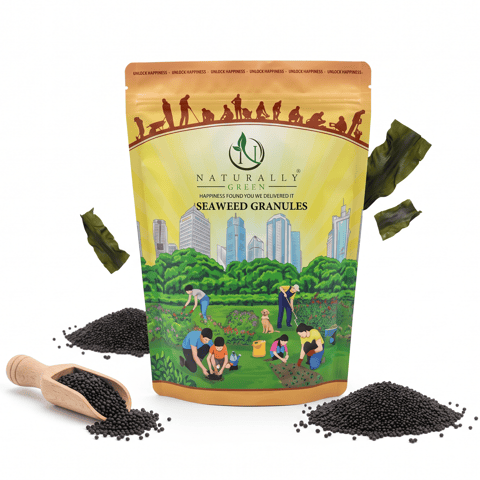 Seaweed Granules - 1 Kg - Boosts plant health and growth naturally