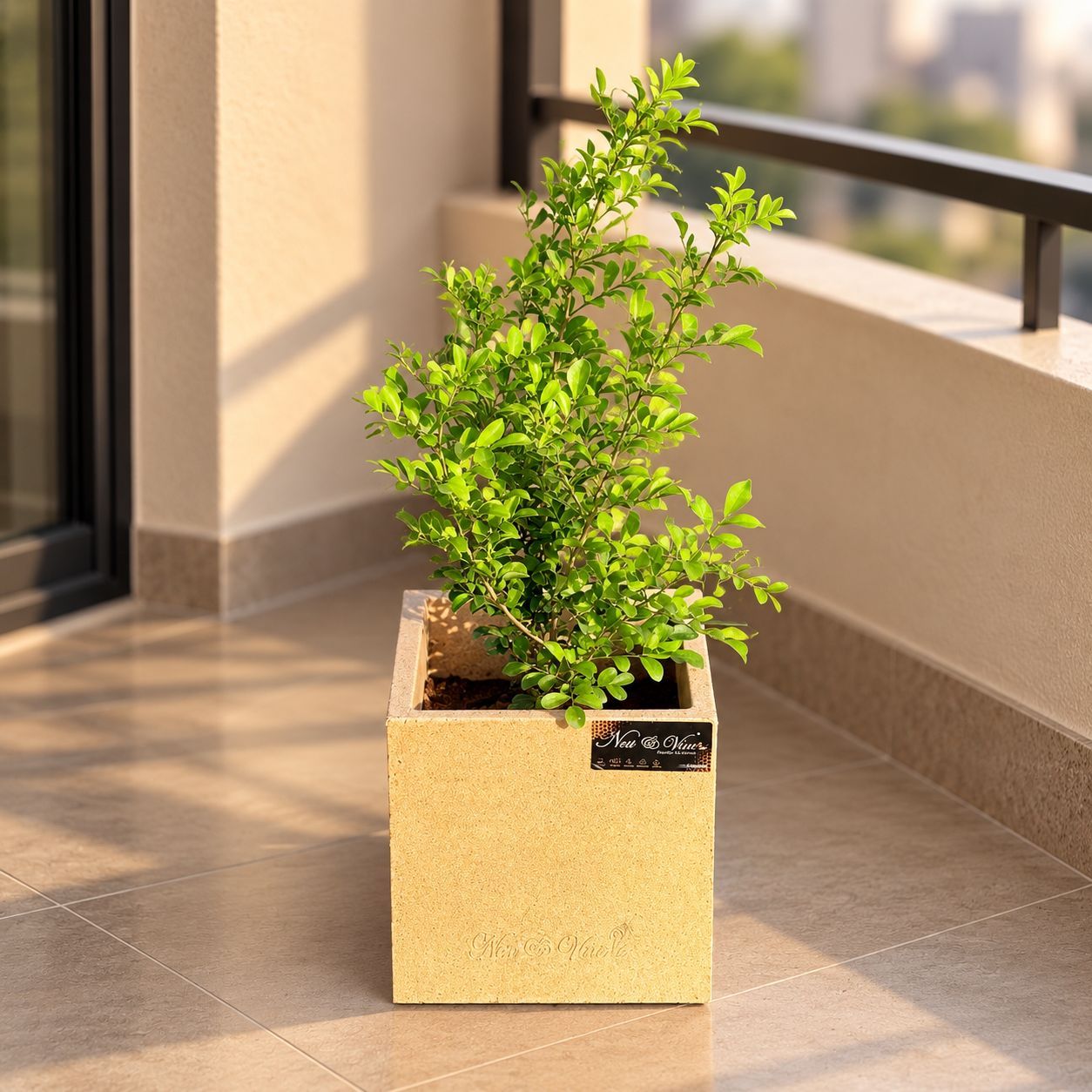 Madhu Kamini White In 8 X 8 Inch Sandstone Premium Kyvos Fiberglass Planter - Durable Large Size Decoratiive Fiber Pot For Indoor Outdoor Plants With 5 Year Warranty