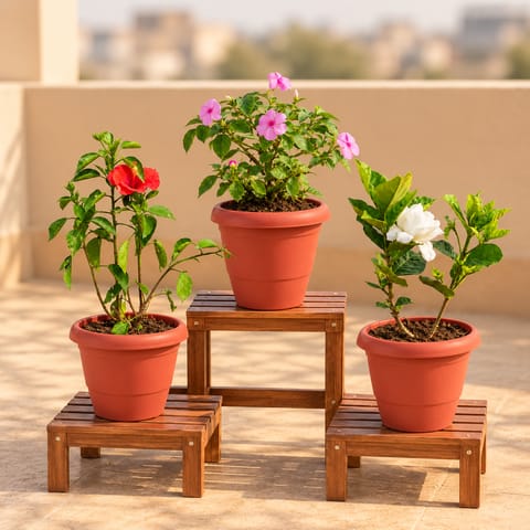 Free Next Day Delivery |Petal Charm - Set of 3 - Hibiscus (any color ...