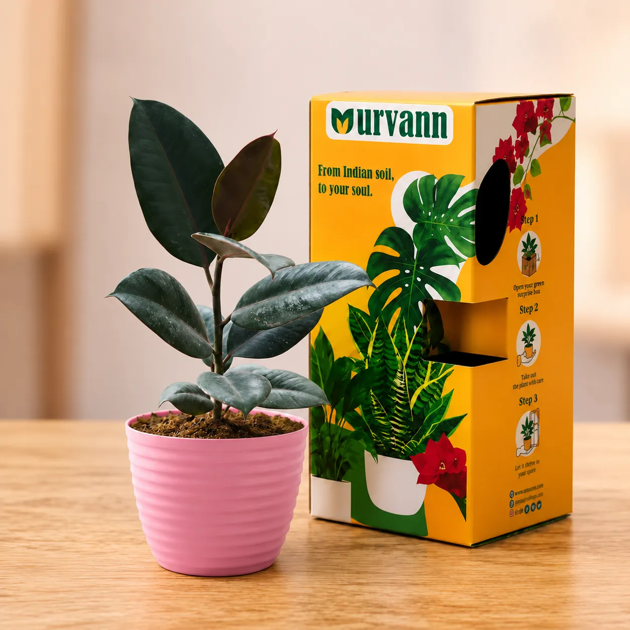 Gift Ready - Rubber Black in 5 Inch Candy-Blush Pink Avora Premium Plastic Planter in Premium Gifting Box
