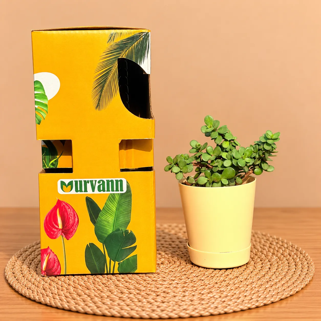 Jade In 4 Inch Beige Florence Self Watering Pot - In Premium Gifting Box