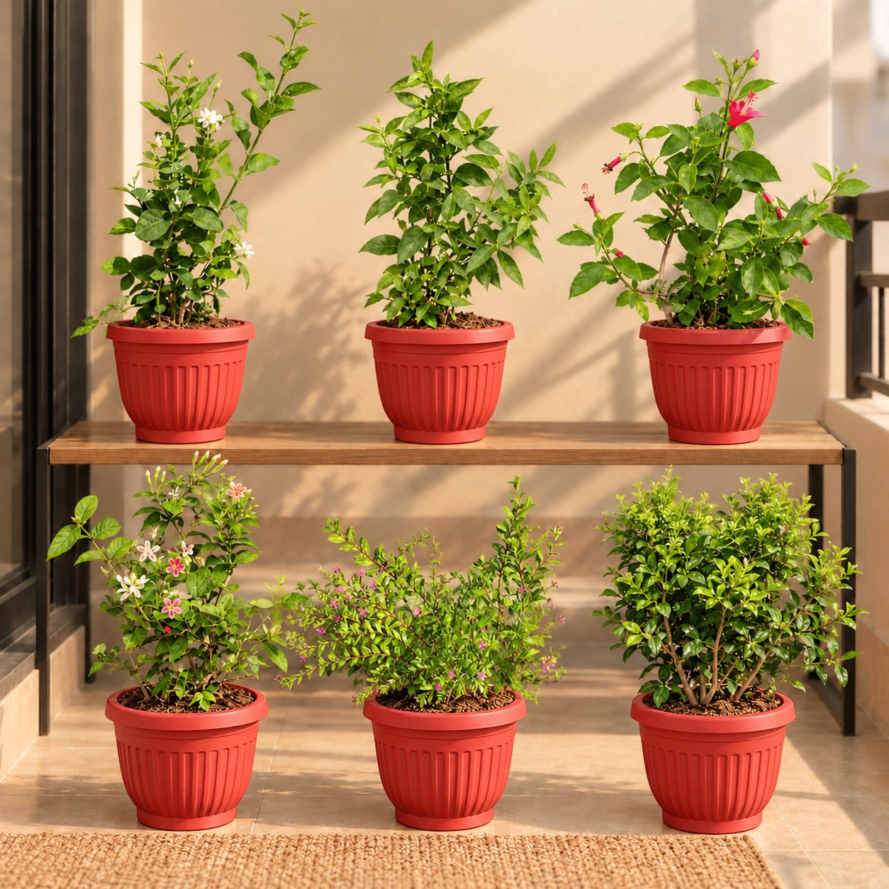 The Scent-sational Garden - Set of 6 - Mogra, Raat ki Rani, Hibiscus, Madhumalti, Cuphea & Madhu Kamini in 8 Inch Red Olive Plastic Pots