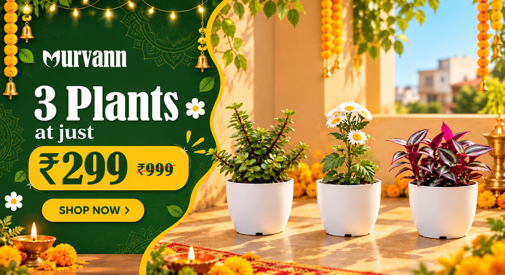 3 Plants For 299
