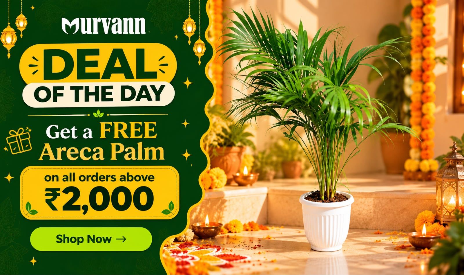 Diwali Deal