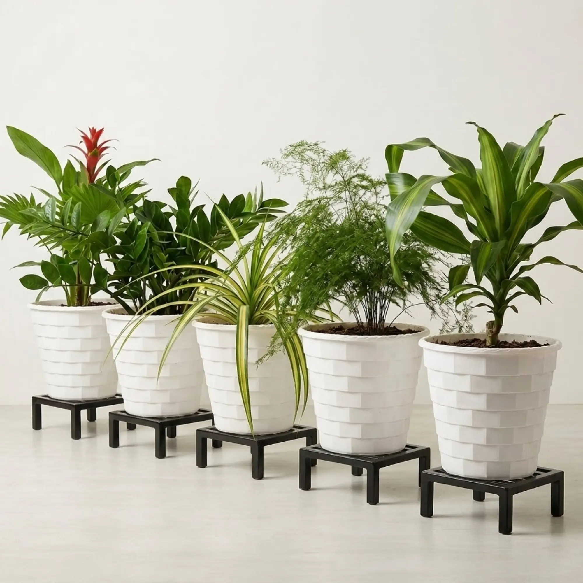 Plant Stands & Shelves