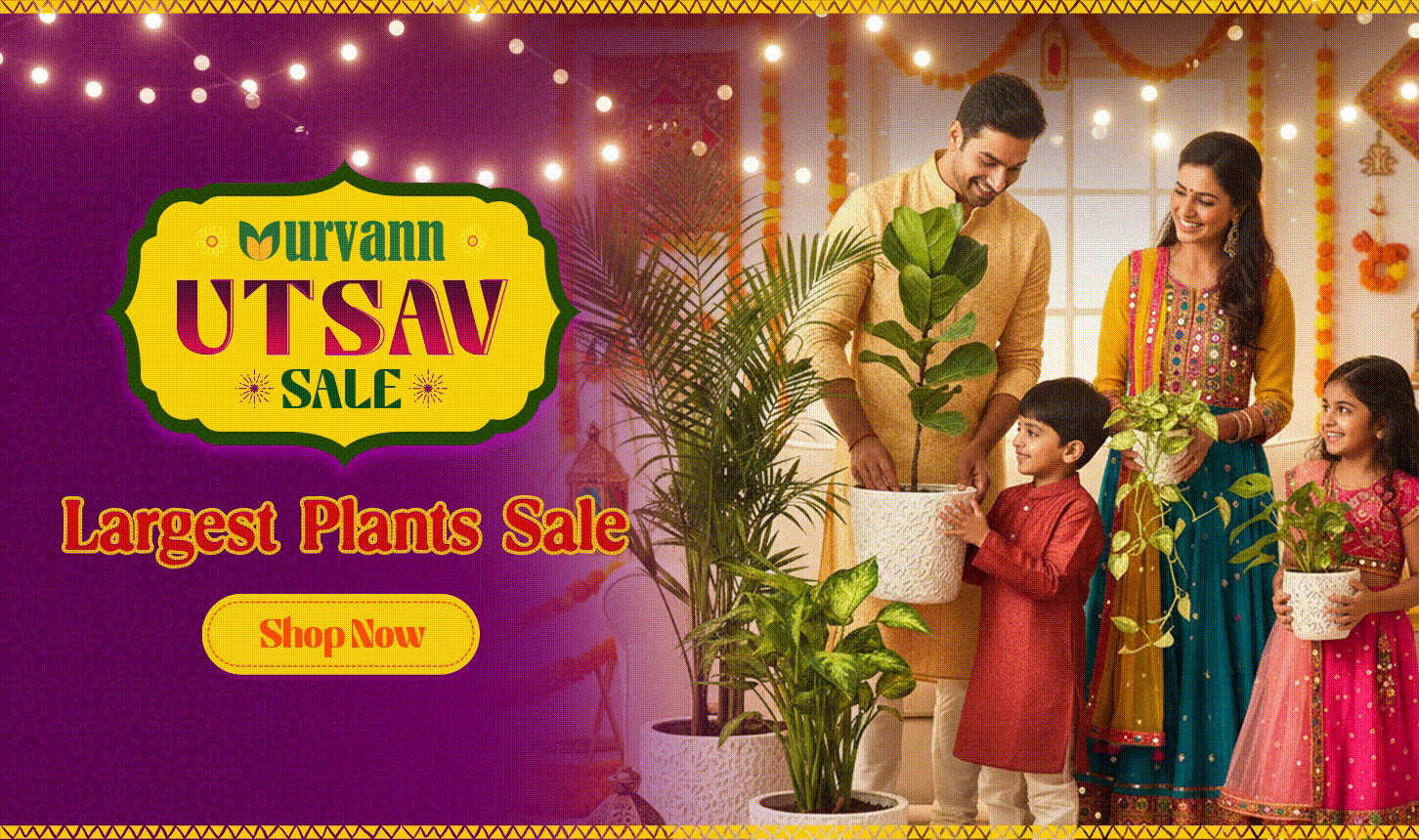 All plants